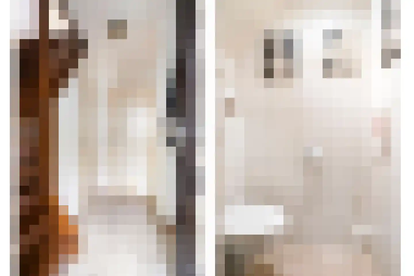 18 novemberring 106 Panningen thumbnail 5
