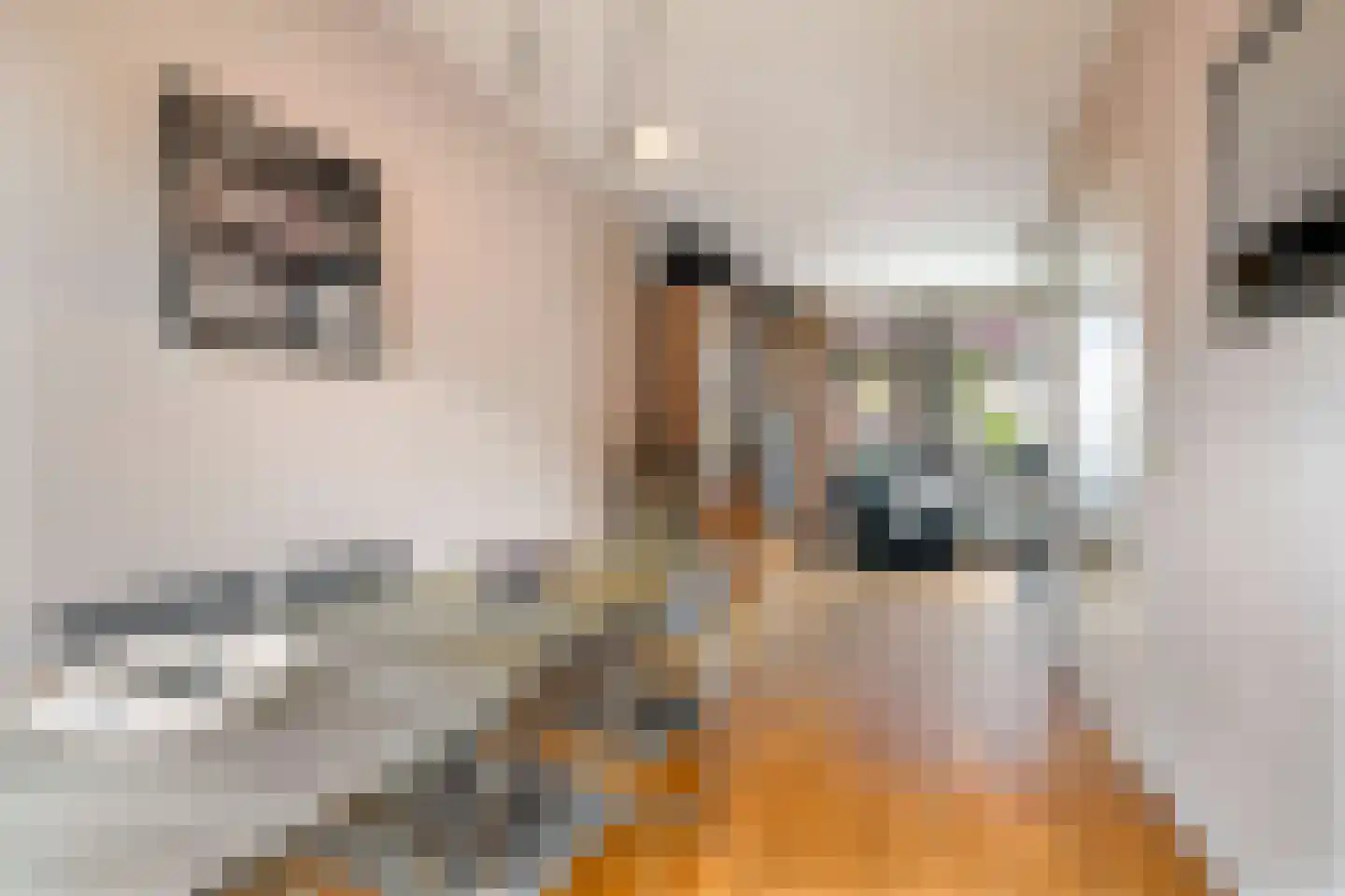 18 novemberring 106 Panningen thumbnail 9