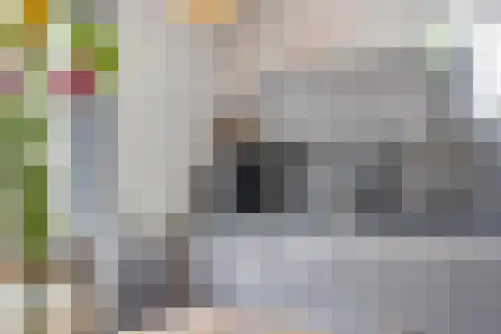 18 novemberring 52 A Panningen thumbnail 14