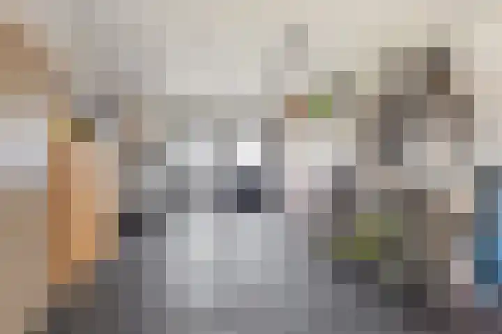 18 novemberring 52 A Panningen thumbnail 33