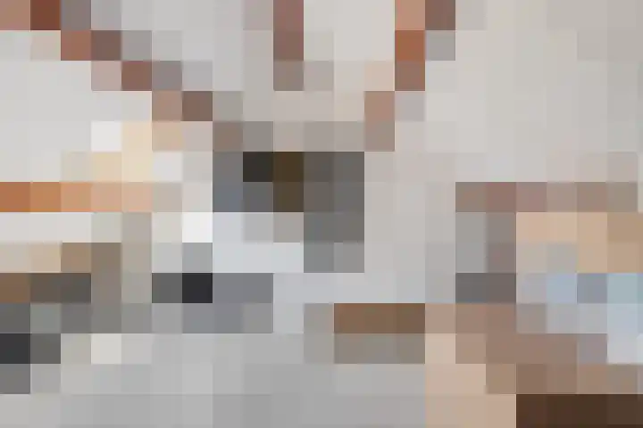 18 novemberring 52 A Panningen thumbnail 35
