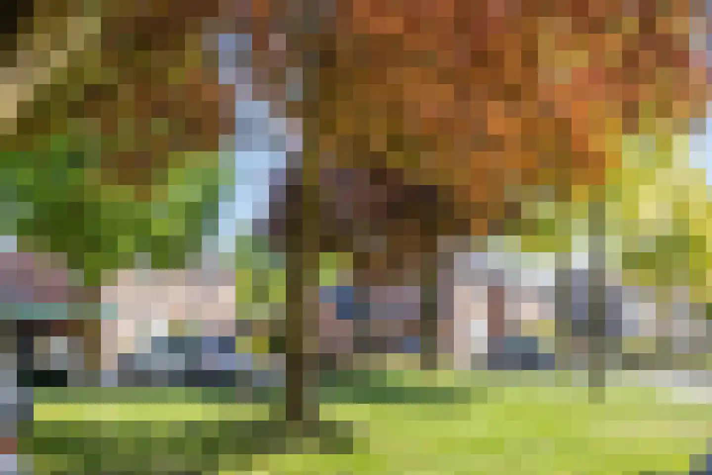 18 novemberring 98 Panningen thumbnail 34