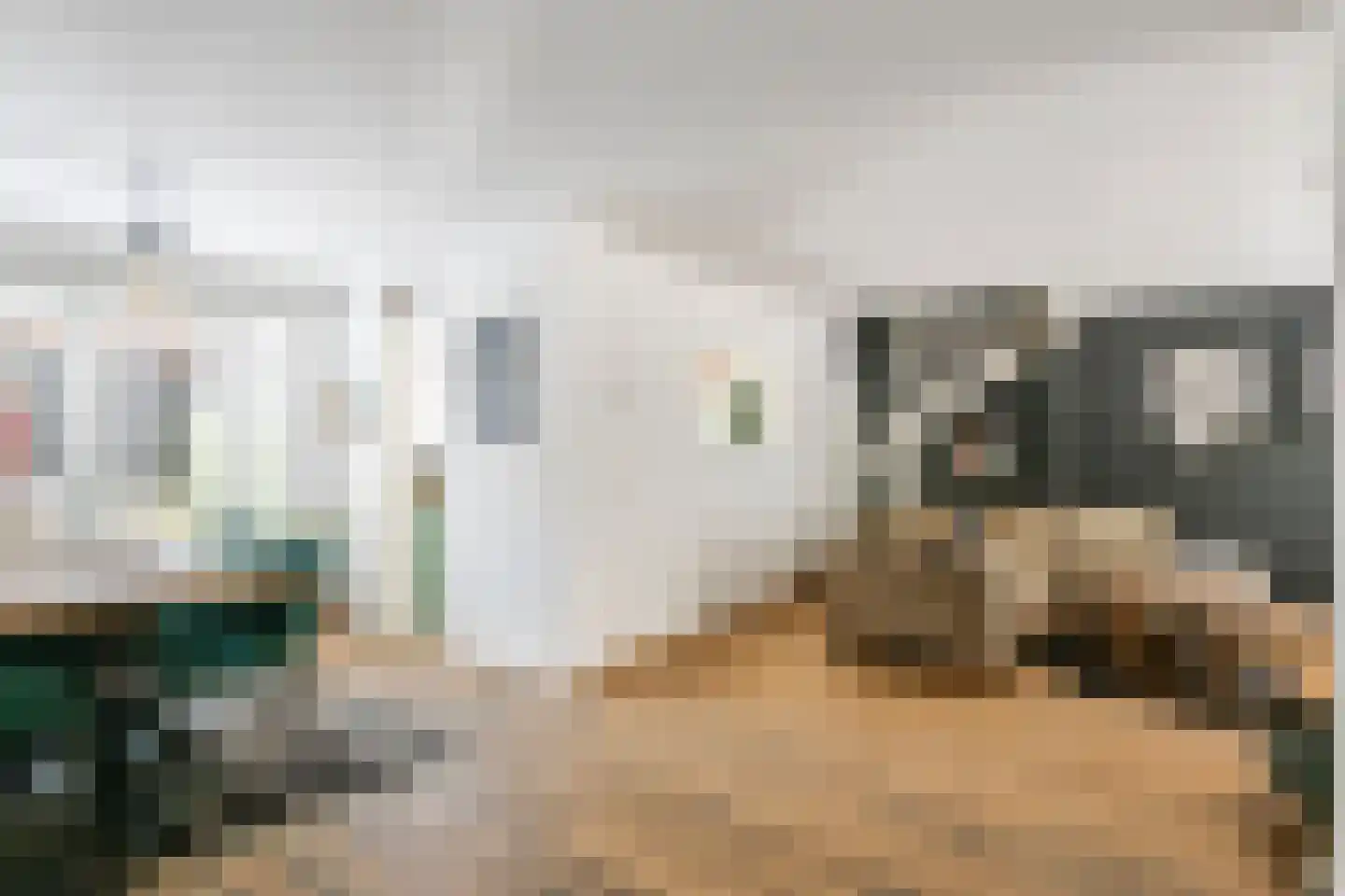 1e Achterstraat 8 Tiel thumbnail 10