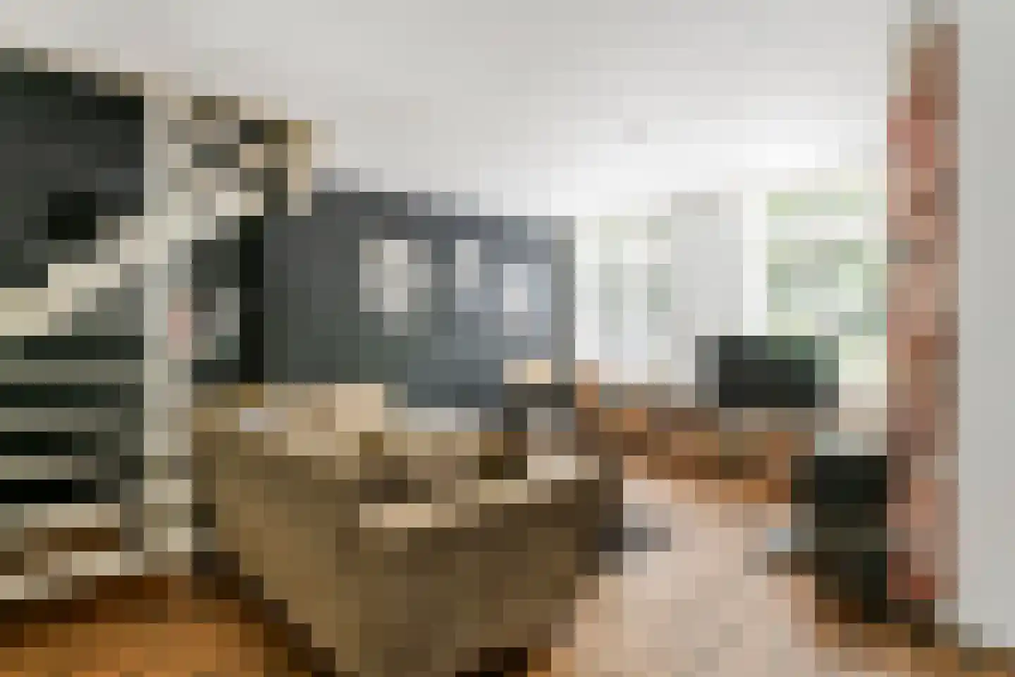 1e Achterstraat 8 Tiel thumbnail 11