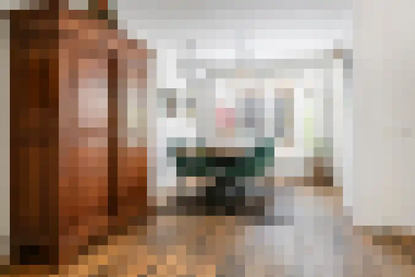1e Achterstraat 8 Tiel thumbnail 16