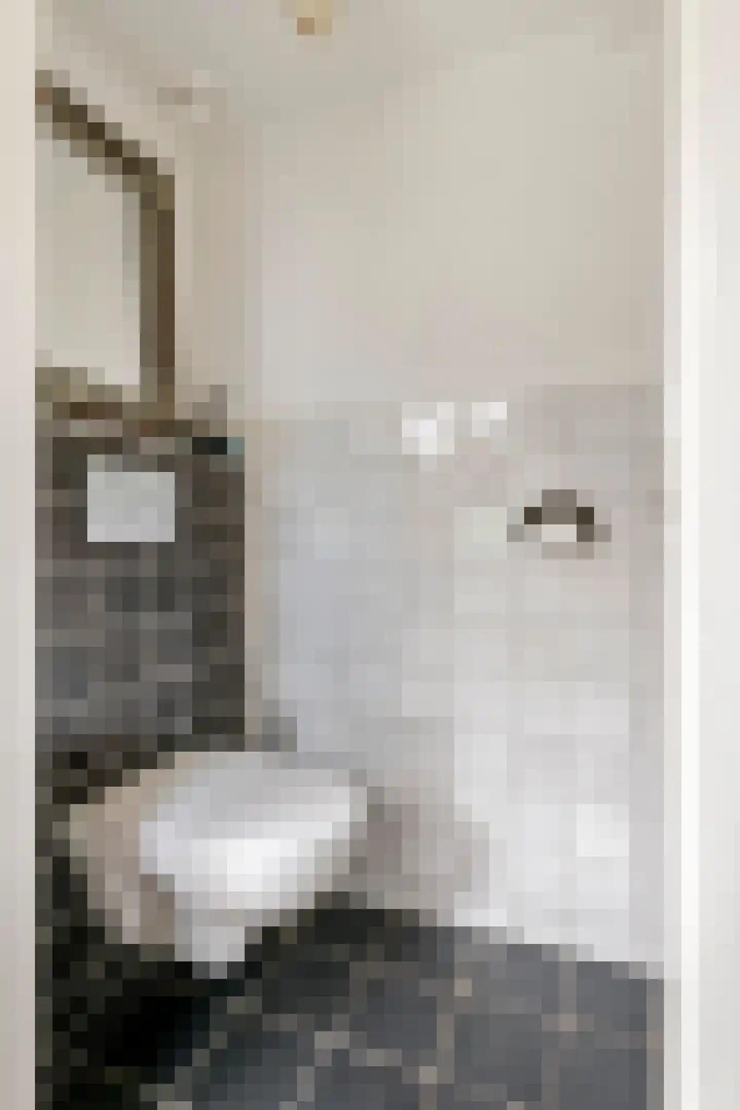 1e Achterstraat 8 Tiel thumbnail 23