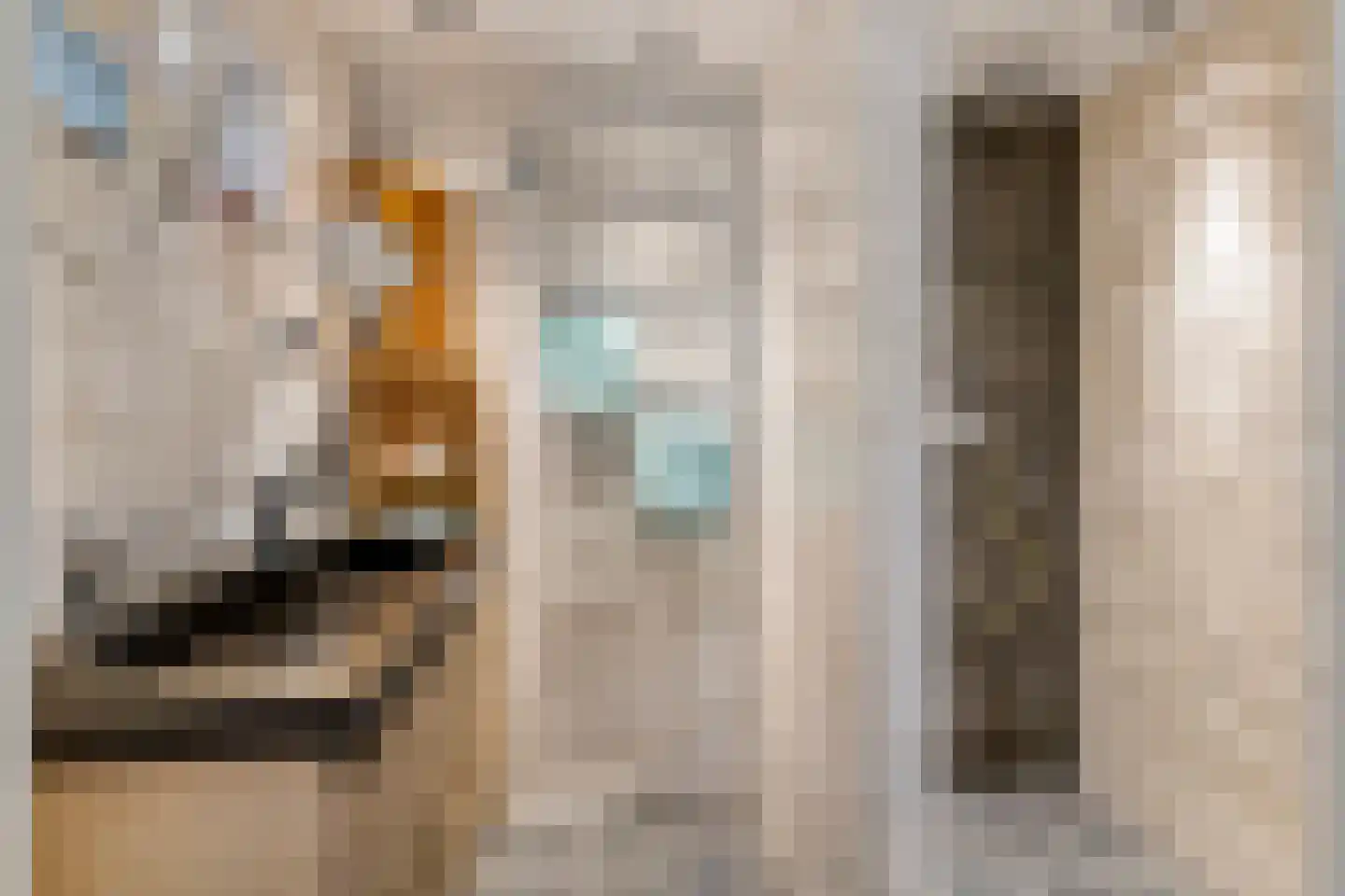 1e Achterstraat 8 Tiel thumbnail 24