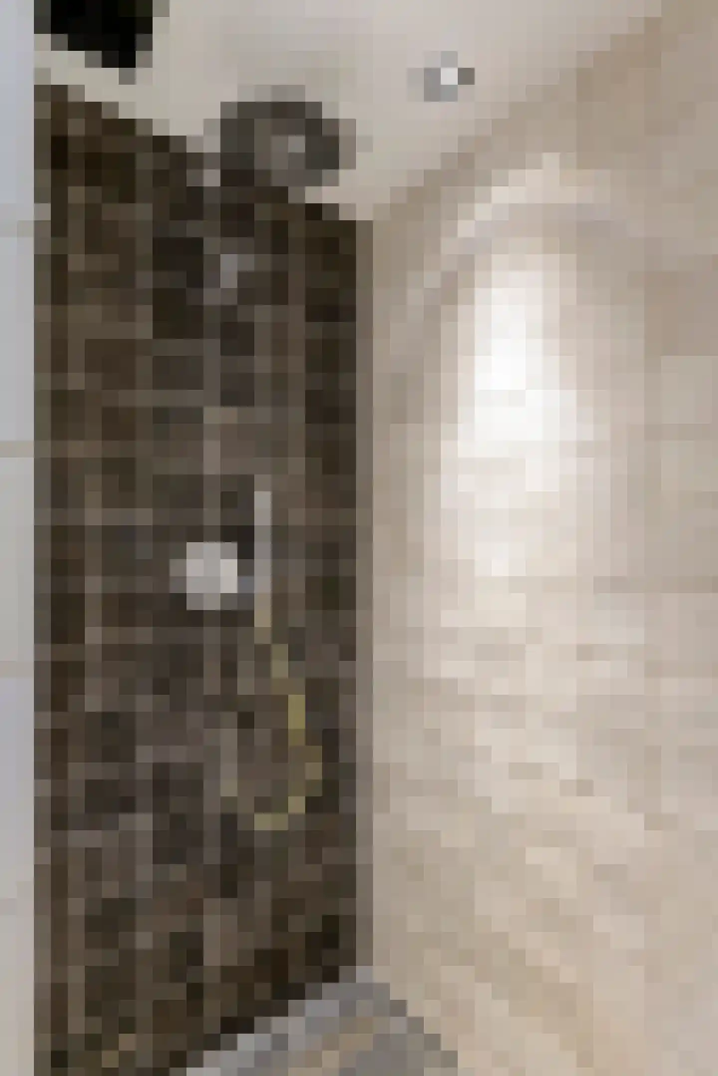 1e Achterstraat 8 Tiel thumbnail 25