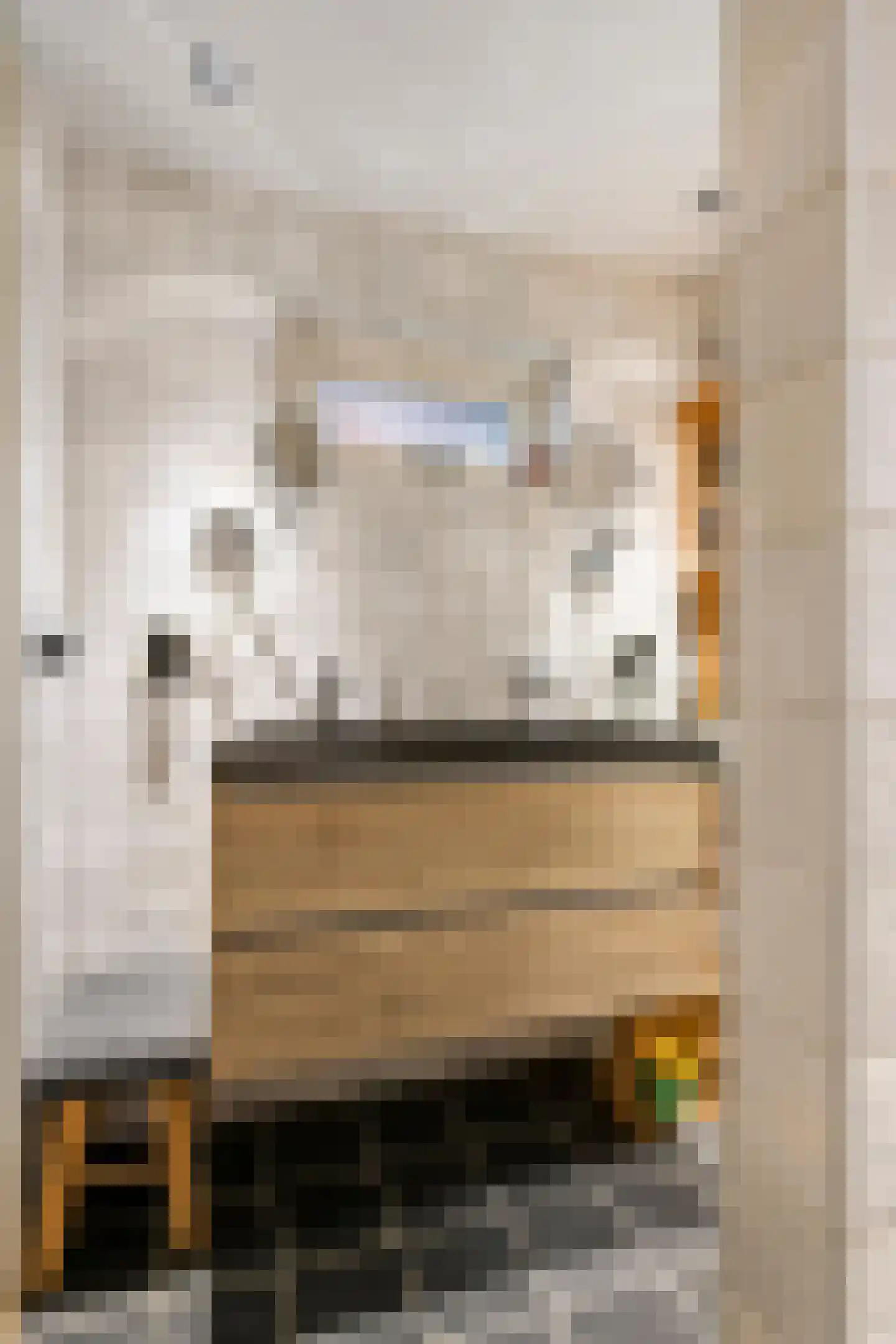 1e Achterstraat 8 Tiel thumbnail 26