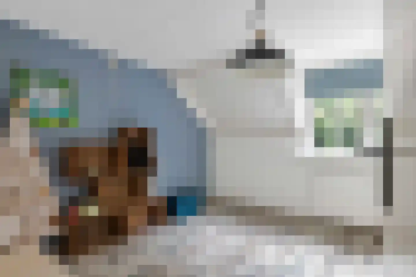 1e Achterstraat 8 Tiel thumbnail 37
