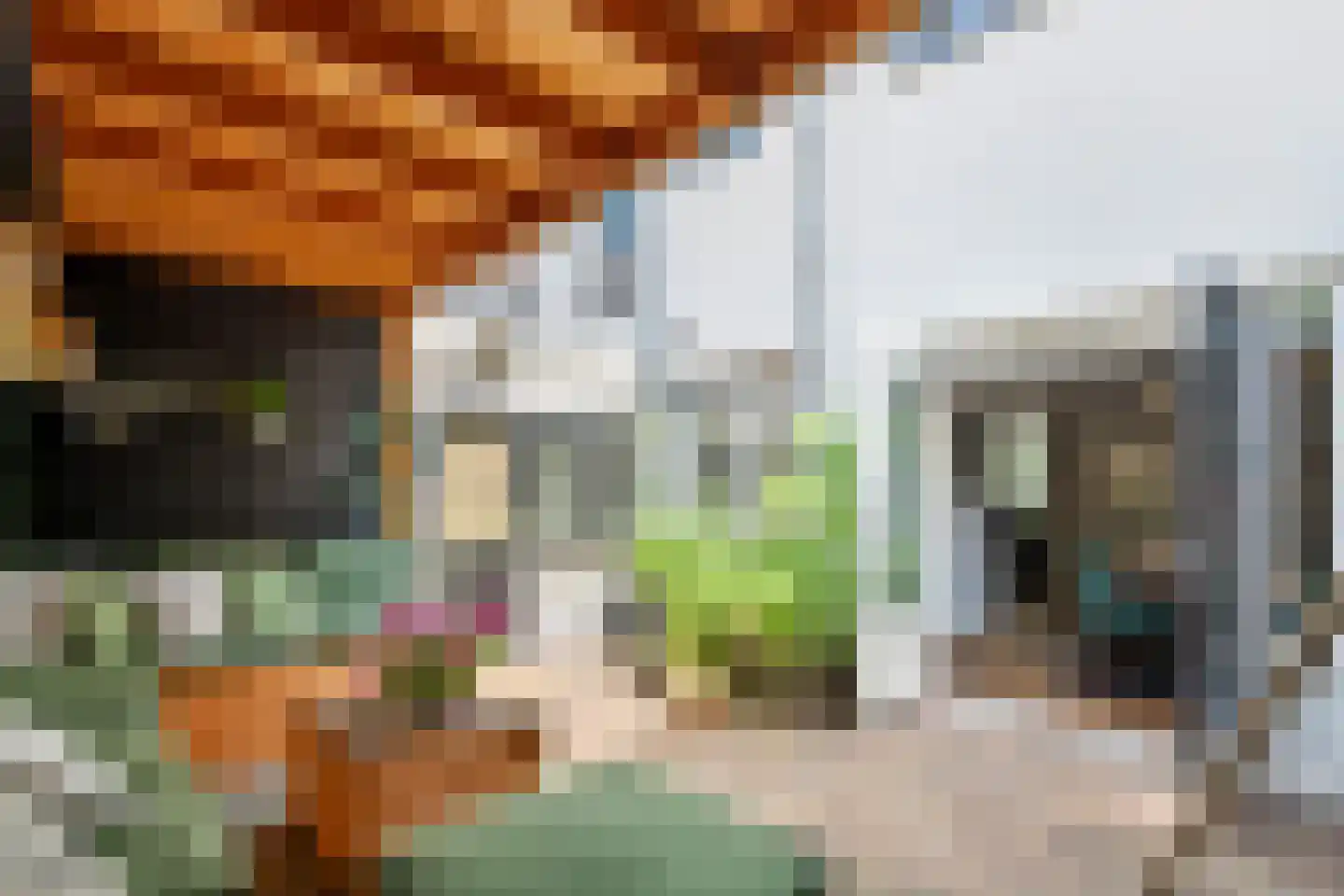 1e Achterstraat 8 Tiel thumbnail 40