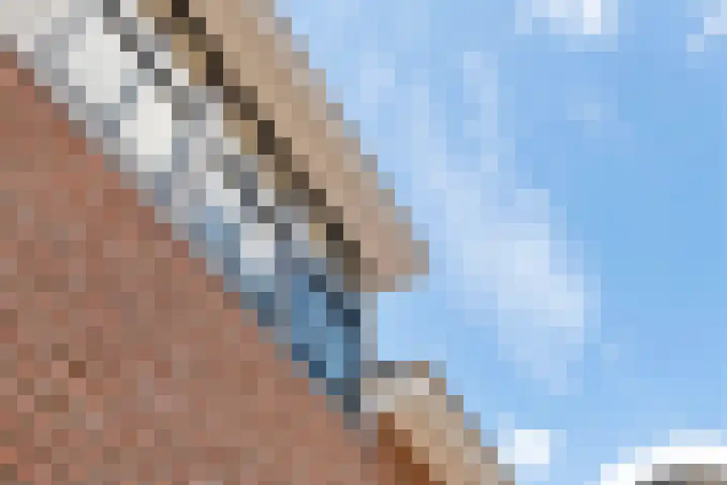 1e Achterstraat 8 Tiel thumbnail 7