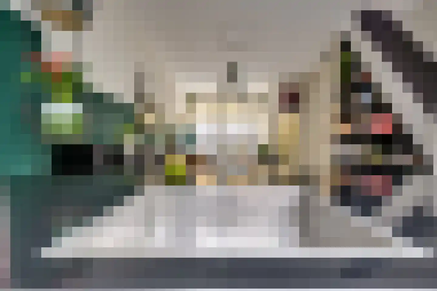 1e Atjehstraat 18 Utrecht thumbnail 22