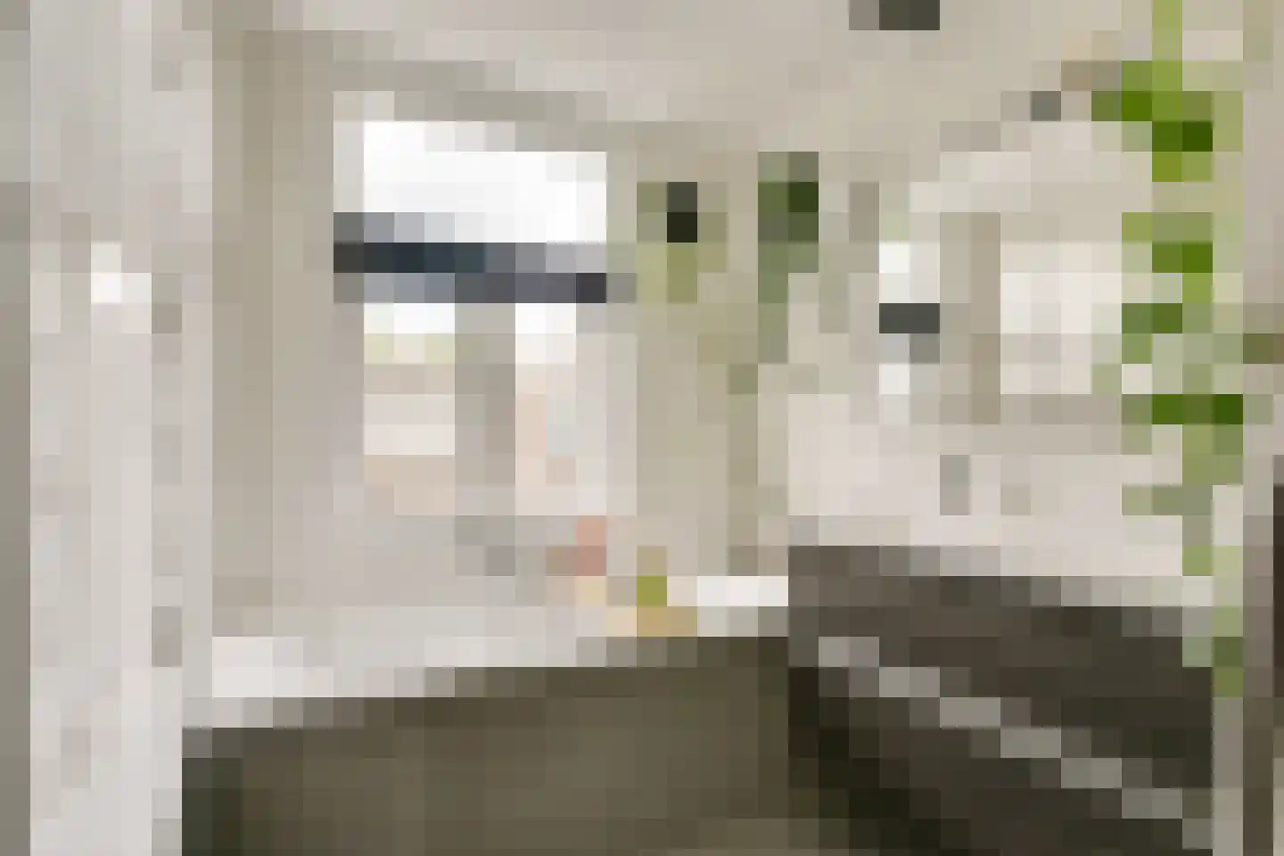 1e Atjehstraat 18 Utrecht thumbnail 33