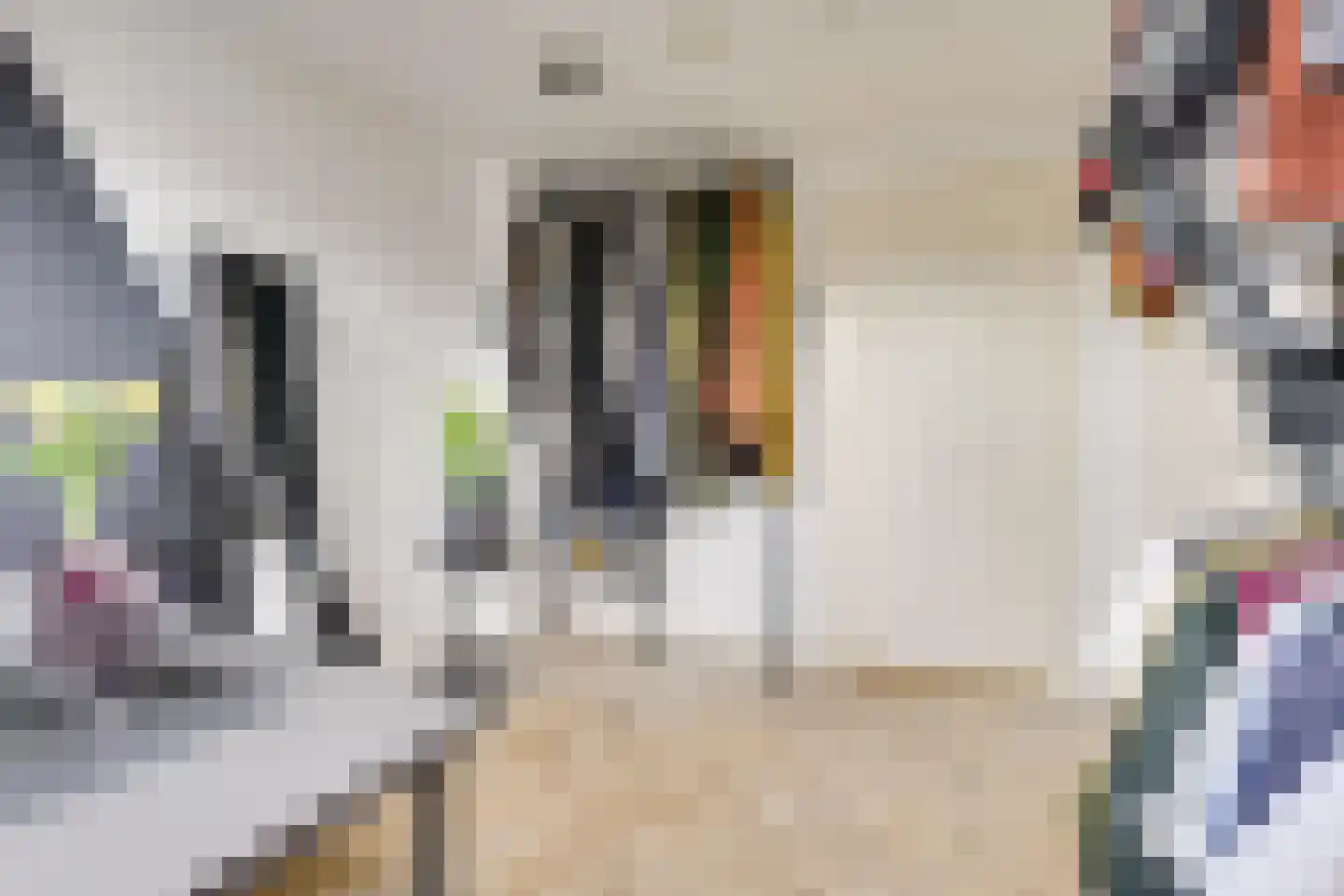 1e Atjehstraat 18 Utrecht thumbnail 39