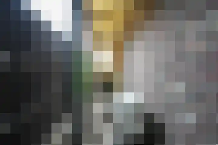 1e Batsteeg 3 Eijsden thumbnail 10