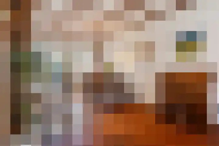 1e Beukenlaan 16 Apeldoorn thumbnail 10