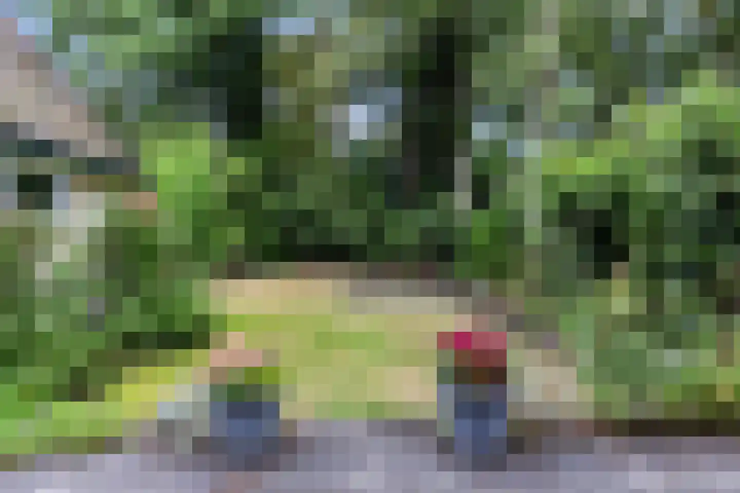 1e Beukenlaan 16 Apeldoorn thumbnail 19