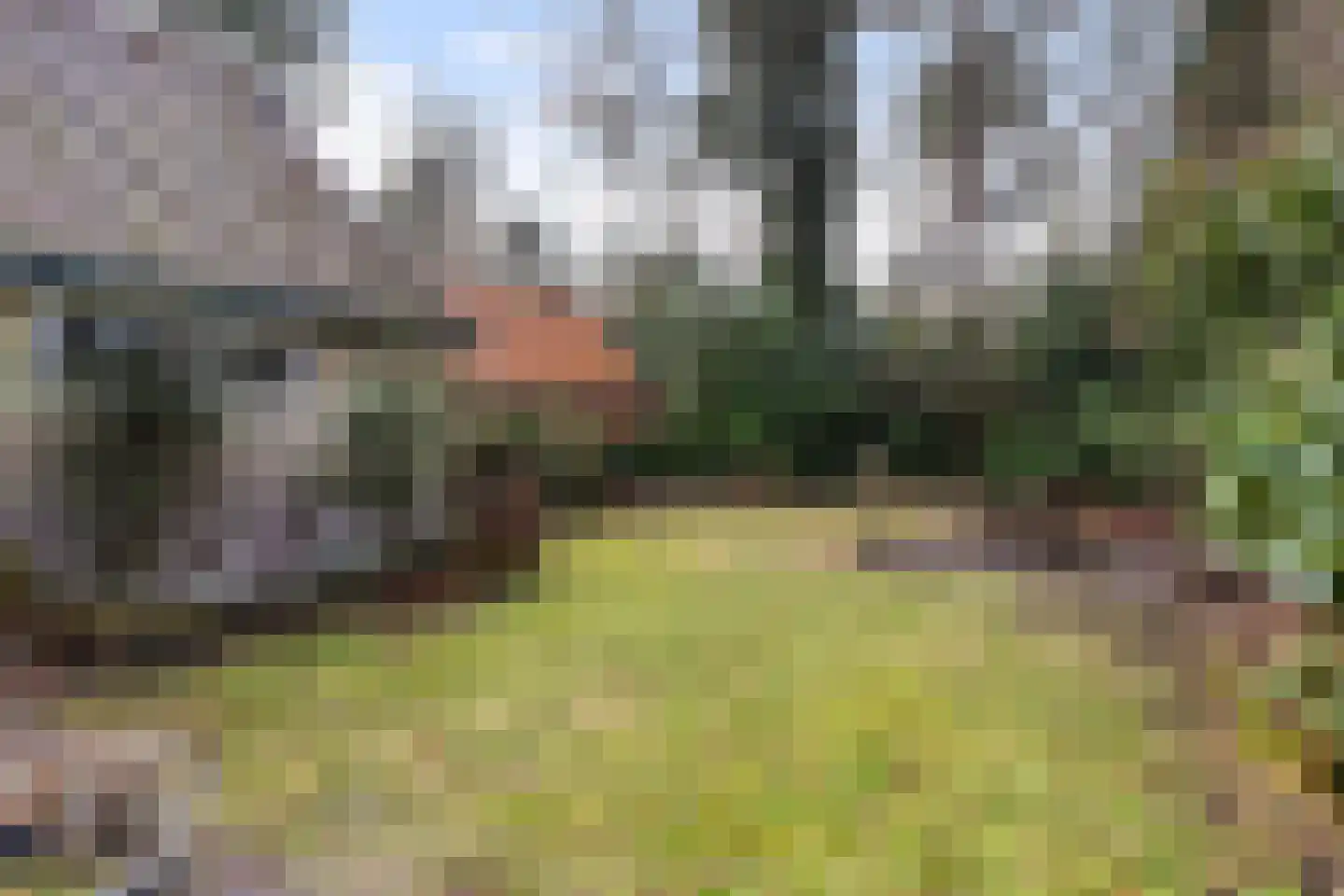 1e Beukenlaan 16 Apeldoorn thumbnail 19