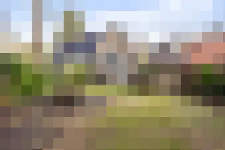 1e Beukenlaan 16 Apeldoorn thumbnail 20