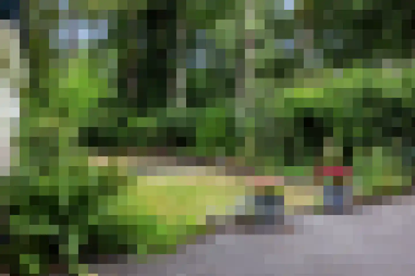 1e Beukenlaan 16 Apeldoorn thumbnail 20