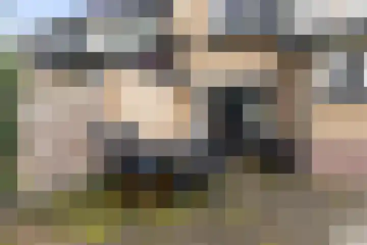 1e Beukenlaan 16 Apeldoorn thumbnail 21