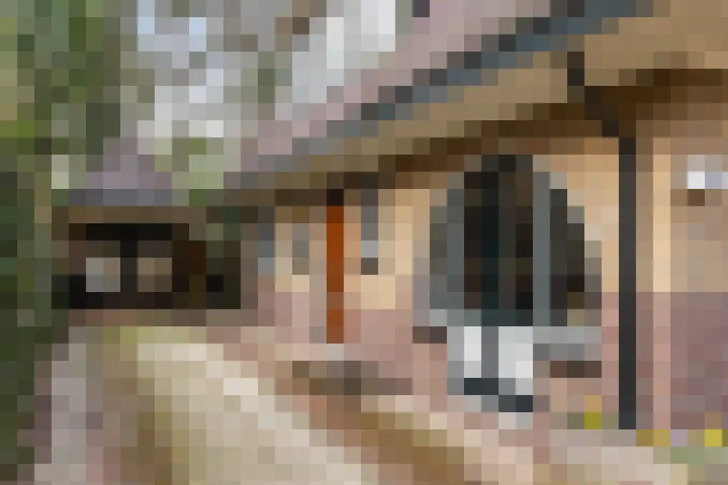 1e Beukenlaan 16 Apeldoorn thumbnail 22