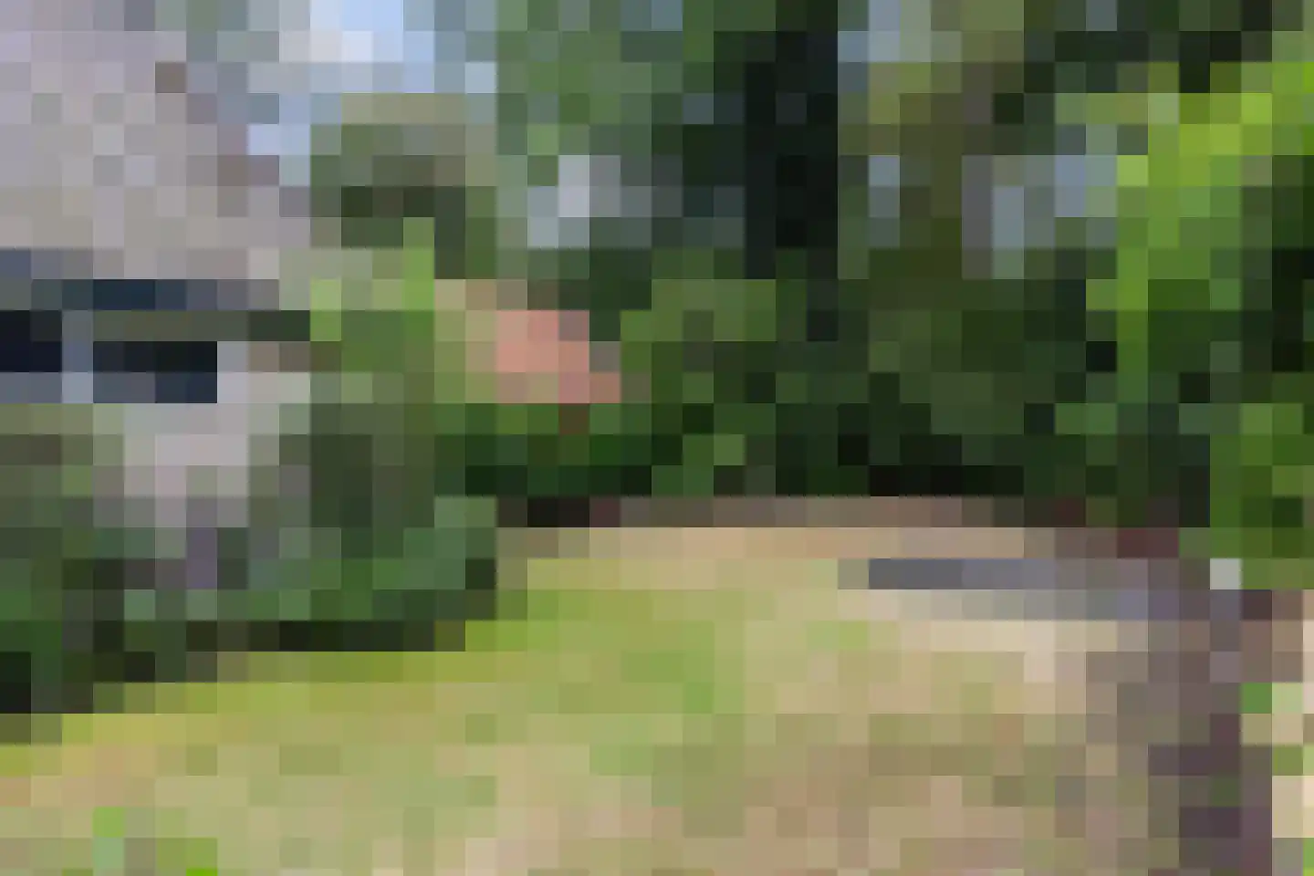 1e Beukenlaan 16 Apeldoorn thumbnail 22