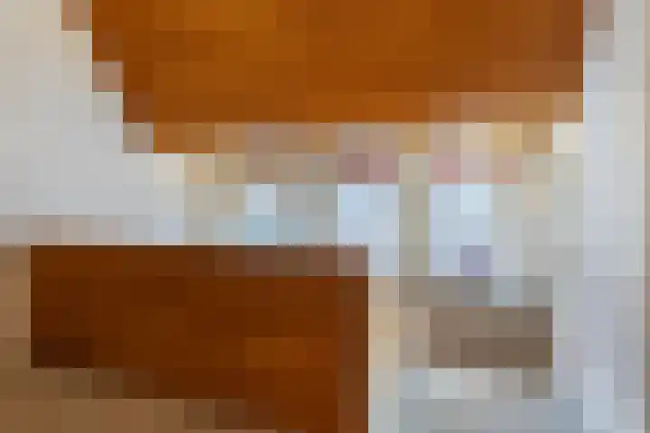 1e Beukenlaan 16 Apeldoorn thumbnail 23