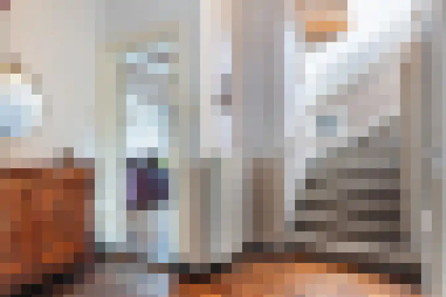 1e Beukenlaan 16 Apeldoorn thumbnail 26