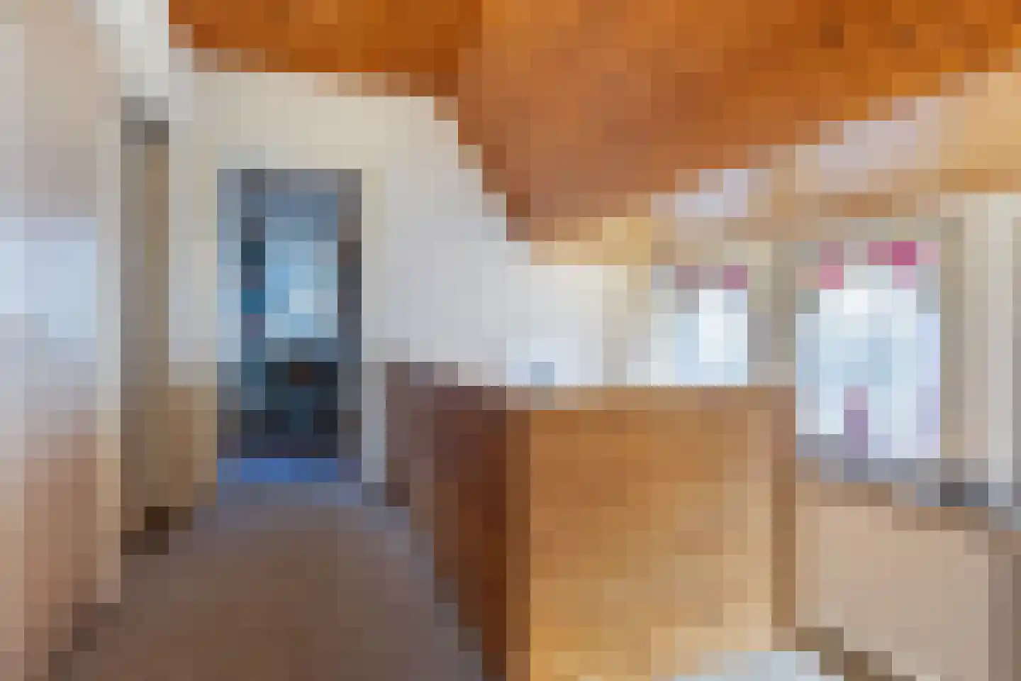 1e Beukenlaan 16 Apeldoorn thumbnail 27