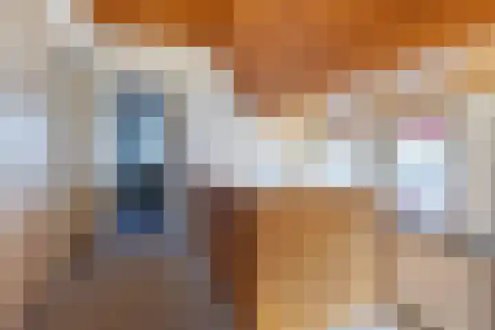 1e Beukenlaan 16 Apeldoorn thumbnail 27