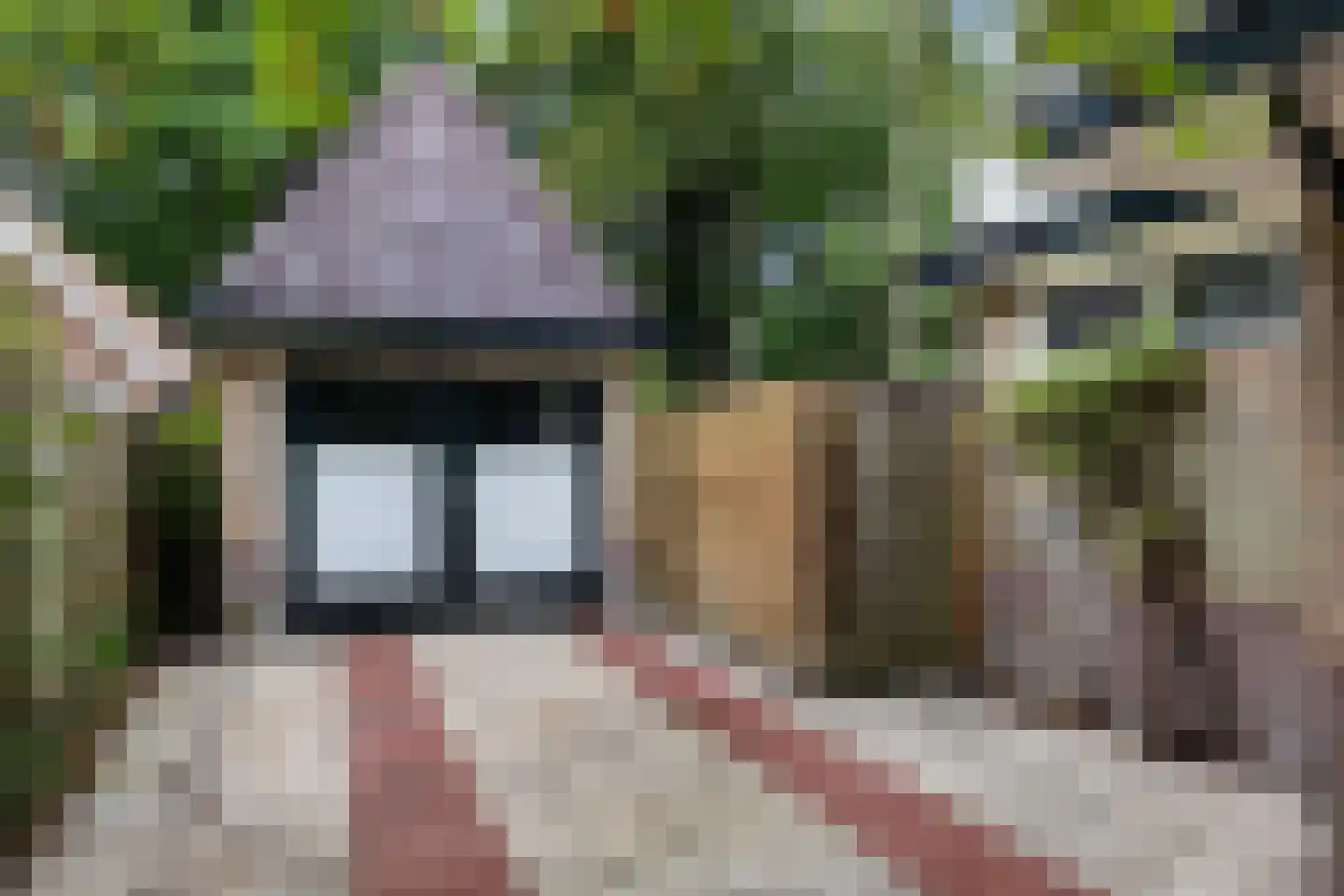 1e Beukenlaan 16 Apeldoorn thumbnail 27