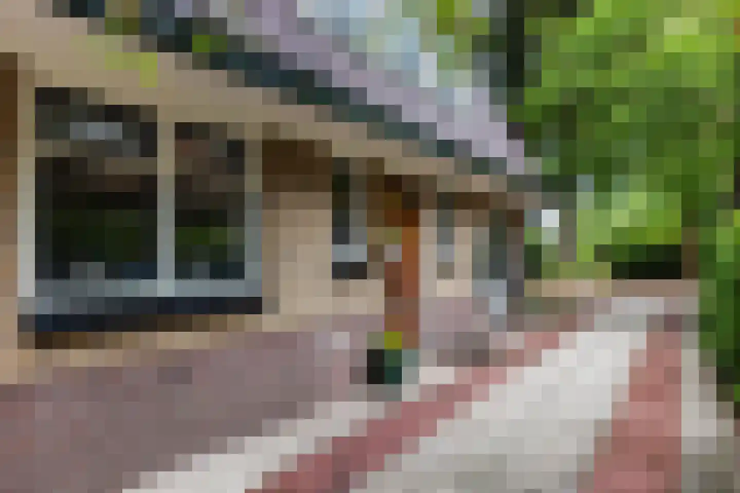 1e Beukenlaan 16 Apeldoorn thumbnail 28