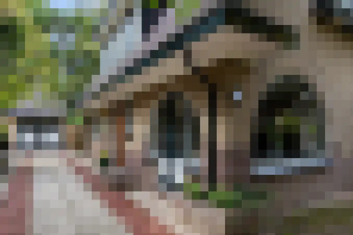 1e Beukenlaan 16 Apeldoorn thumbnail 29