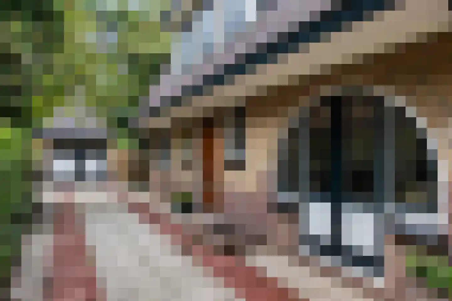 1e Beukenlaan 16 Apeldoorn thumbnail 30