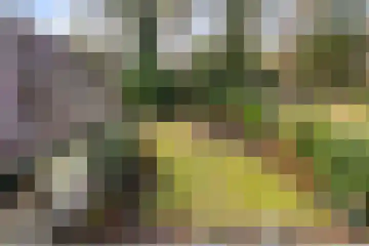 1e Beukenlaan 16 Apeldoorn thumbnail 34