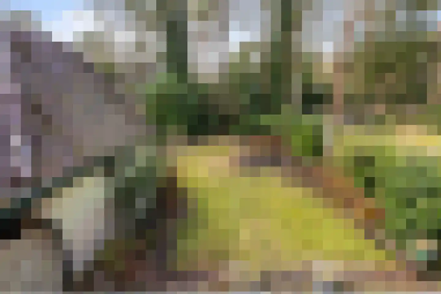 1e Beukenlaan 16 Apeldoorn thumbnail 34