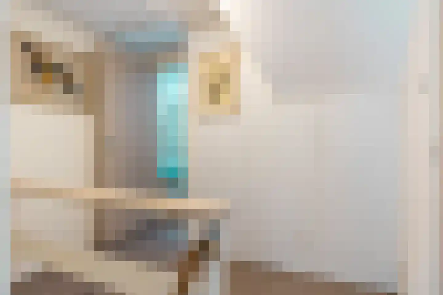 1e Beukenlaan 16 Apeldoorn thumbnail 39