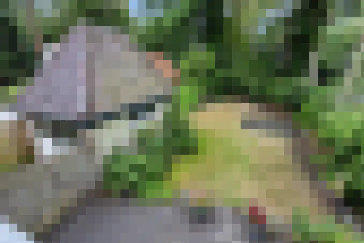 1e Beukenlaan 16 Apeldoorn thumbnail 43