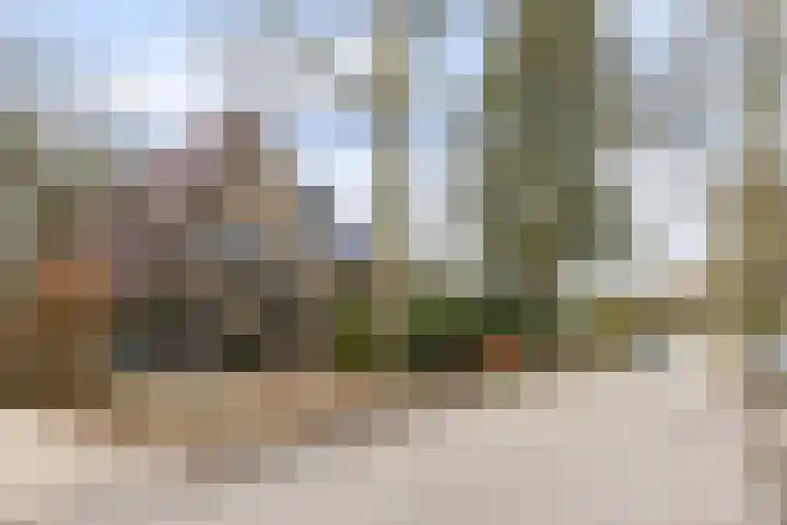 1e Beukenlaan 16 Apeldoorn thumbnail 50