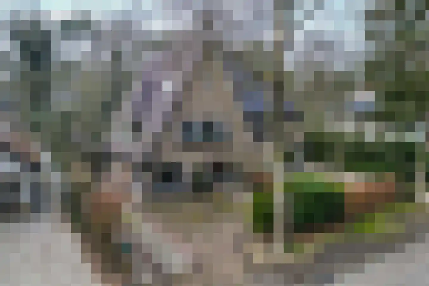 1e Beukenlaan 16 Apeldoorn thumbnail 51