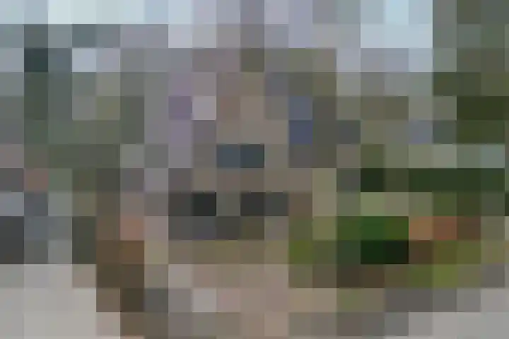 1e Beukenlaan 16 Apeldoorn thumbnail 51