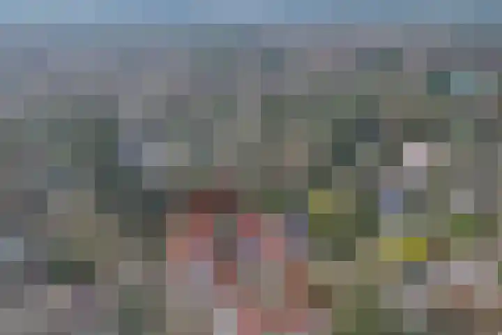 1e Beukenlaan 16 Apeldoorn thumbnail 52