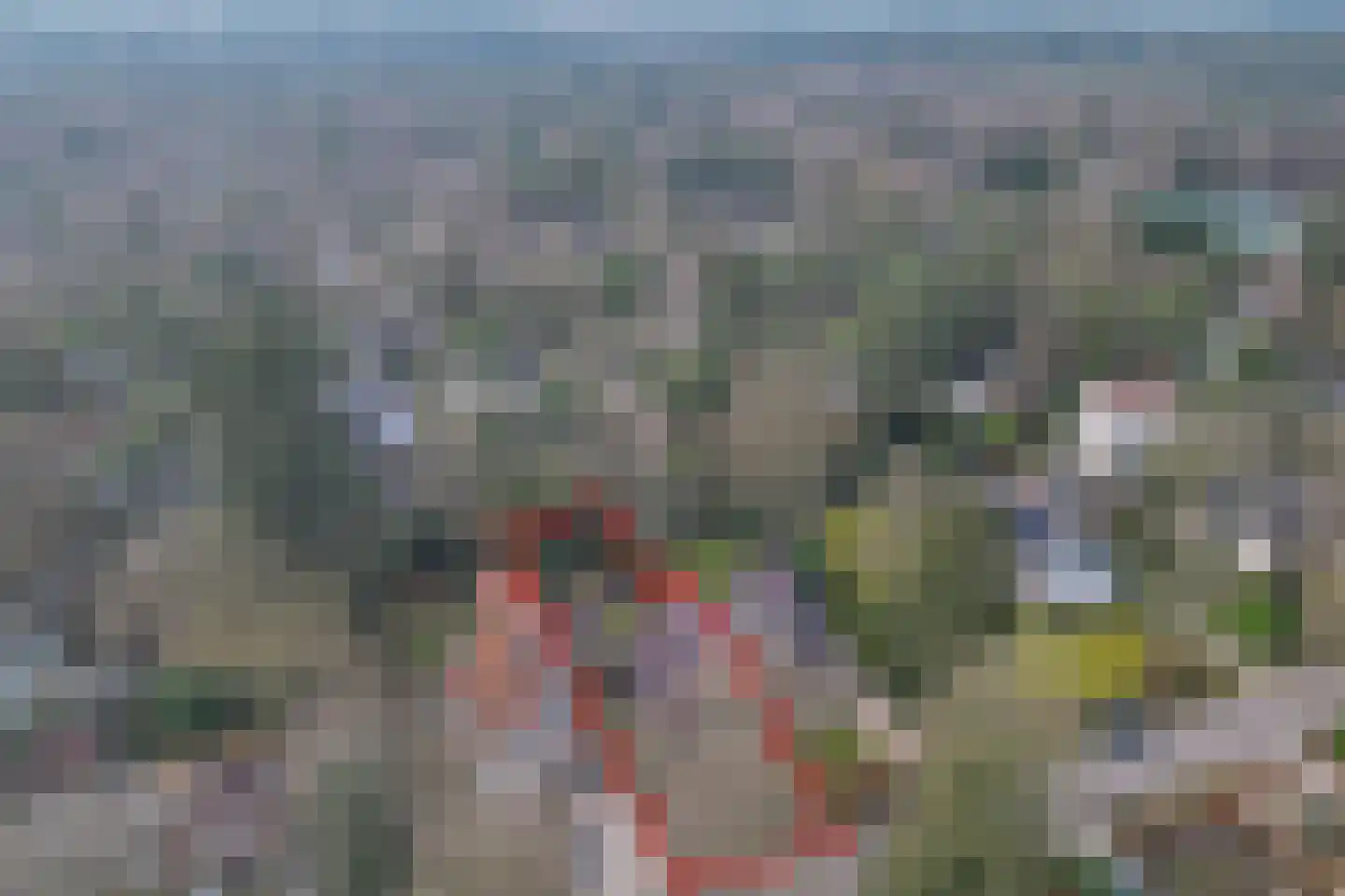 1e Beukenlaan 16 Apeldoorn thumbnail 52