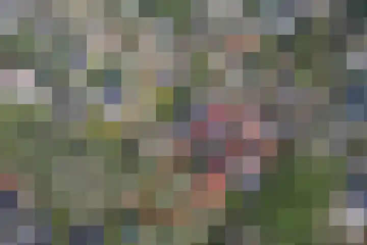 1e Beukenlaan 16 Apeldoorn thumbnail 53