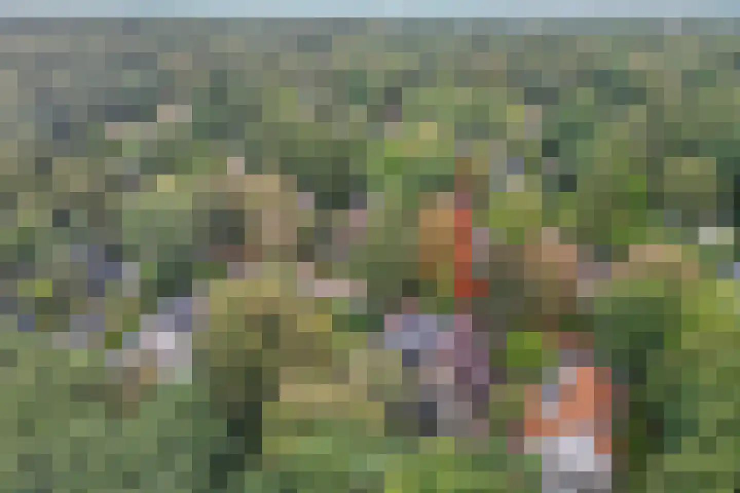 1e Beukenlaan 16 Apeldoorn thumbnail 59