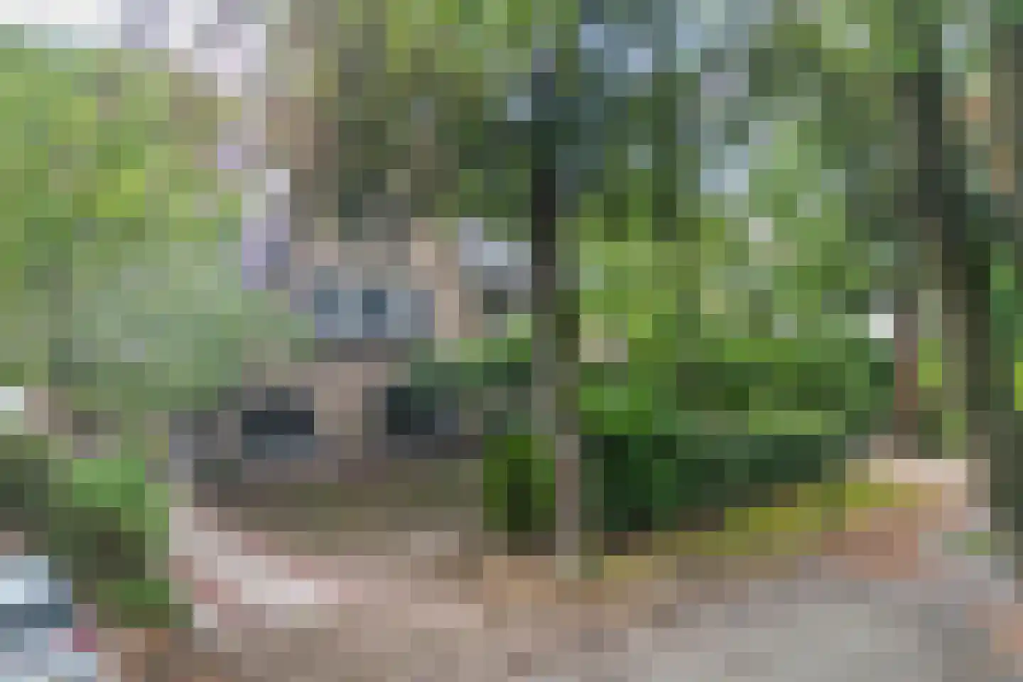 1e Beukenlaan 16 Apeldoorn thumbnail 60