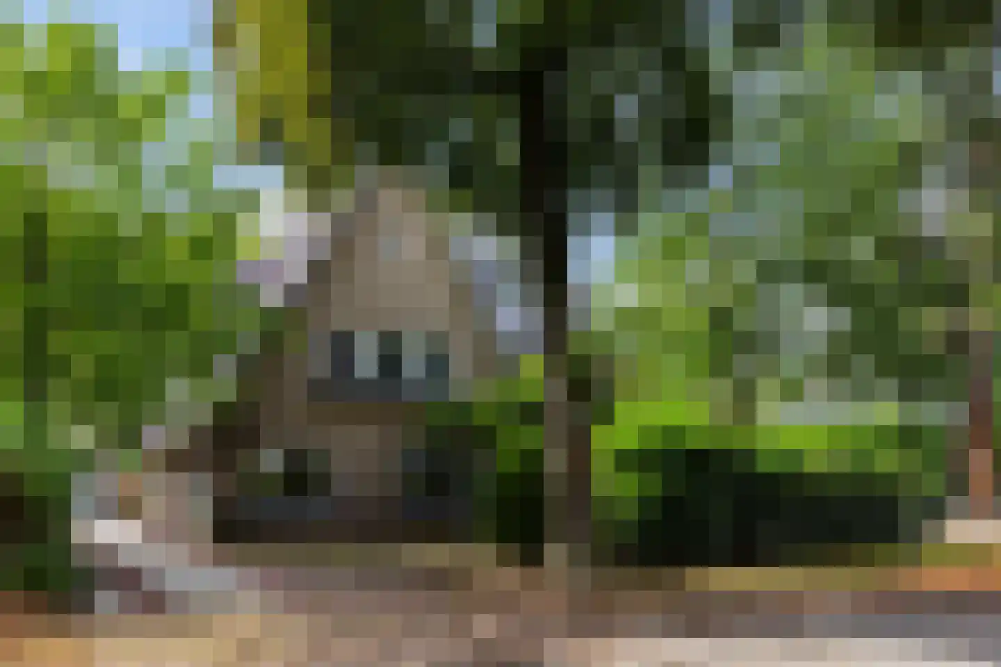 1e Beukenlaan 16 Apeldoorn thumbnail 62