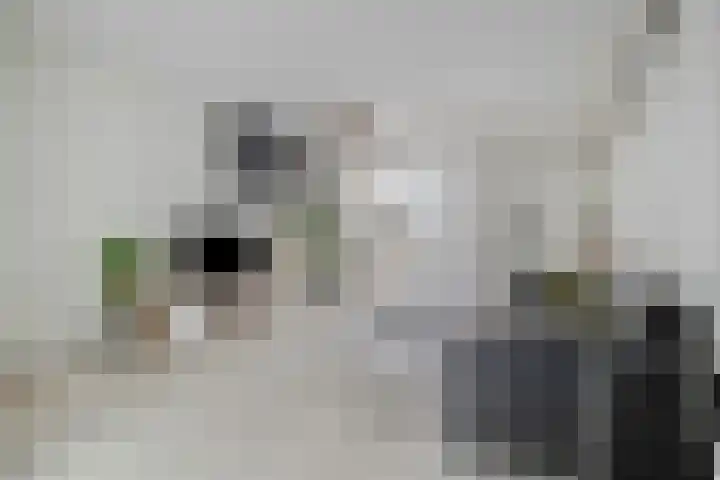 1e Binnenvestgracht 13 Leiden thumbnail 4